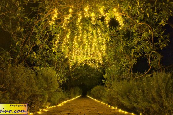 Bwino.com Ltd. Sound & Lighting Hire, Lusaka, Zambia. Wedding Reception At Foxdel Forest