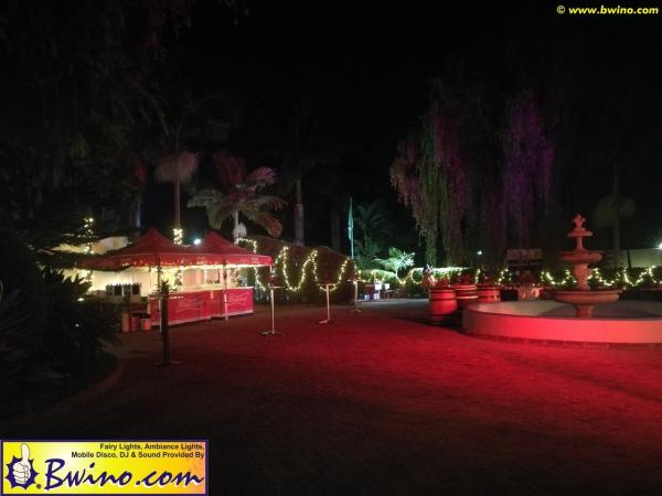 Bwino.com Ltd. Sound & Lighting Hire, Lusaka, Zambia. Carnival Party 2019 brazillian-carnival-festival-2019-lusaka-zambia-01