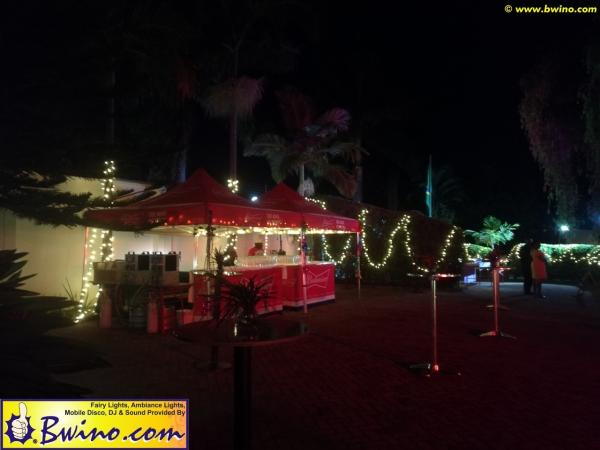 Bwino.com Ltd. Sound & Lighting Hire, Lusaka, Zambia. Carnival Party 2019 brazillian-carnival-festival-2019-lusaka-zambia-05