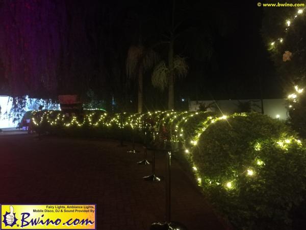 Bwino.com Ltd. Sound & Lighting Hire, Lusaka, Zambia. Carnival Party 2019 brazillian-carnival-festival-2019-lusaka-zambia-06