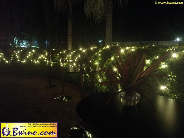 Bwino.com Ltd. Sound & Lighting Hire, Lusaka, Zambia. Carnival Party 2019 brazillian-carnival-festival-2019-lusaka-zambia-08