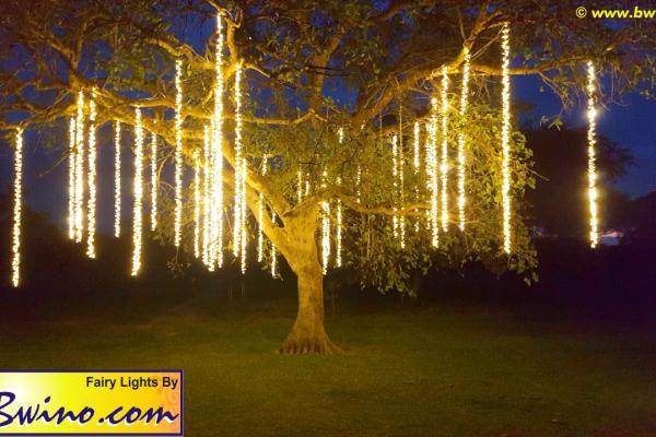 Bwino.com Ltd. Sound & Lighting Hire, Lusaka, Zambia. Wedding Photo Gallery